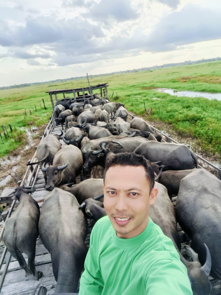 WhatsApp Image 2025-11-14 at 07.59.31