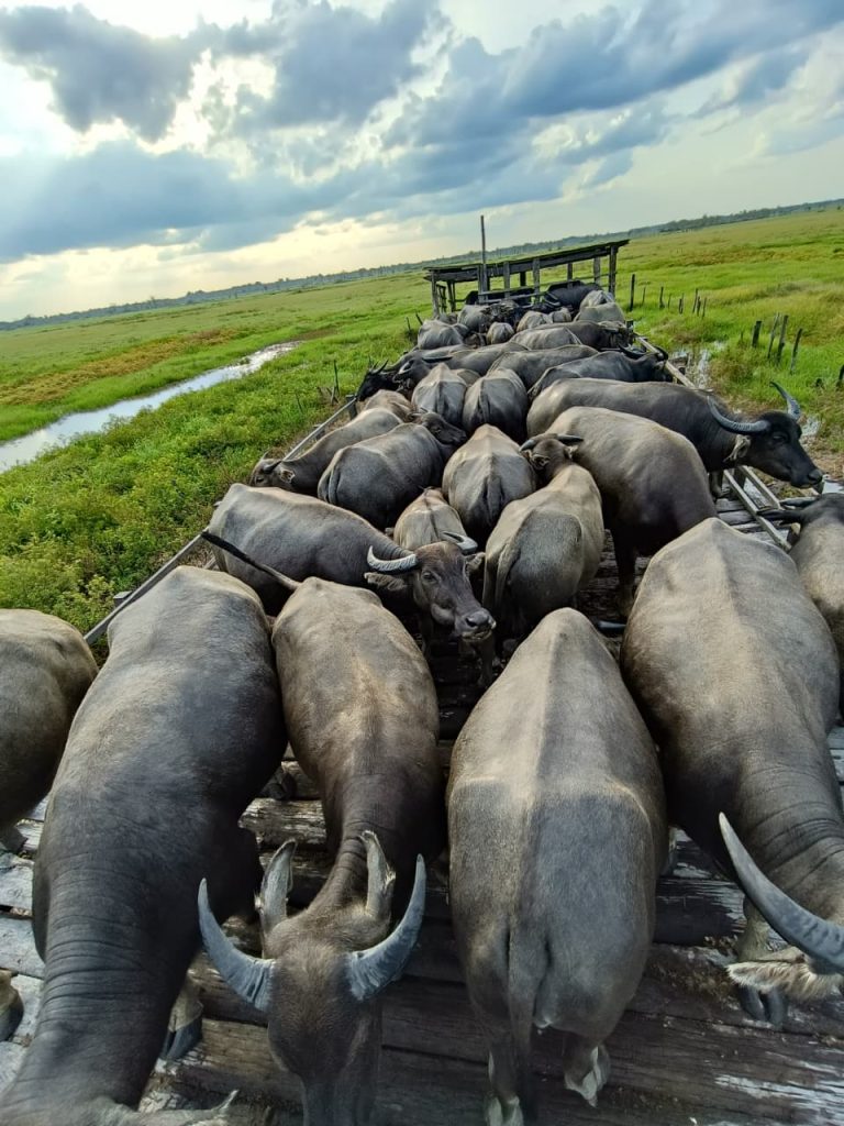 WhatsApp Image 2025-11-14 at 07.59.32