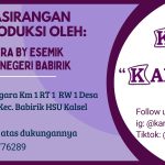 WhatsApp Image 2025-11-15 at 12.13.23